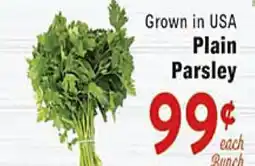 Rio Valley Market Grown in USA Plain Parsley offer