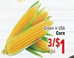Rio Valley Market Corn offer