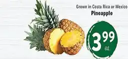 Rio Valley Market Pineapple offer