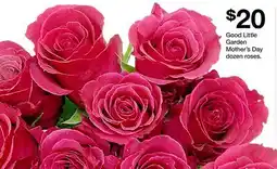 Target Good Little Garden Mother's Day dozen roses offer