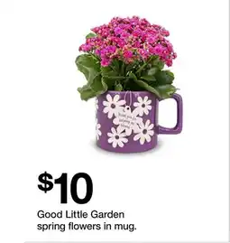 Target Good Little Garden spring flowers in mug offer