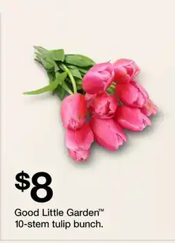Target Good Little Garden 10-stem tulip bunch offer