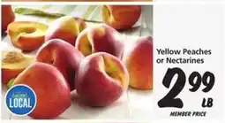 Safeway Yellow Peaches or Nectarines offer