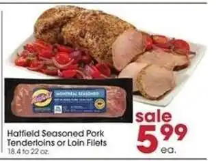 Giant Eagle Hatfield Seasoned Pork Tenderloins or Loin Filets offer