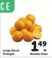 Safeway Large Navel Oranges offer