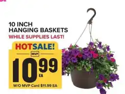 Food Lion 10 Inch Hanging Baskets offer