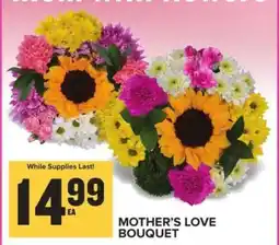 Food Lion MOTHER'S LOVE BOUQUET offer