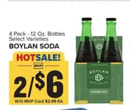 Food Lion Boylan Soda offer