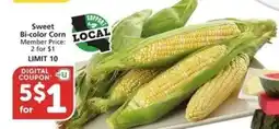 Albertsons Sweet Bi-Color Corn offer