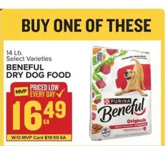 Food Lion Beneful Dry Dog Food offer