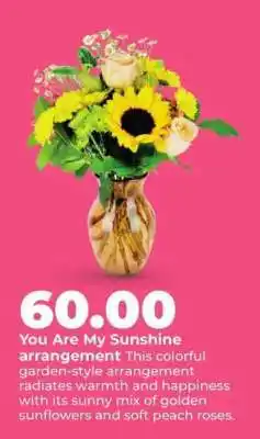 Hy-Vee You Are My Sunshine offer