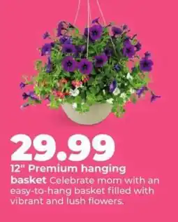 Hy-Vee 12 Premium hanging basket offer