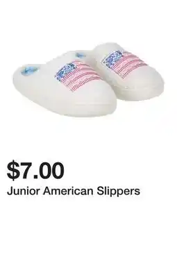 Five Below Junior American Slippers offer