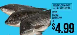 Hmart Fresh Tilapia offer