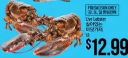 Hmart Live Lobster offer