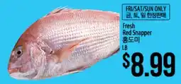 Hmart Fresh Red Snapper offer