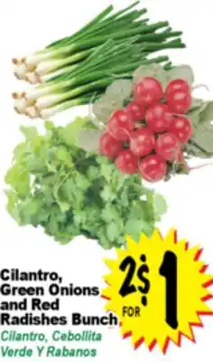 Superior Grocers Cilantro, Green Onions and Red Radishes Bunch Cilantro, Cebollita offer