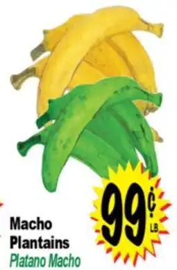 Superior Grocers Macho Plantains offer