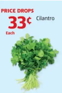 Aldi Cilantro offer
