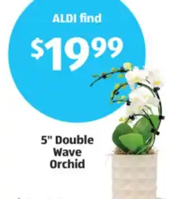 Aldi 5 Double Wave Orchid offer