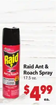 Vallarta Supermarkets Raid Ant & Roach Spray offer