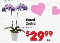 Vallarta Supermarkets Tinted Orchid offer