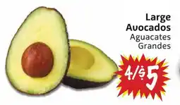 Foodmaxx Large Avocados offer