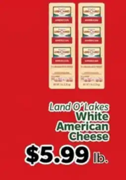 Living Fresh Market Land O'Lakes White American Cheese offer