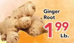 Eurofresh Market Ginger Root offer