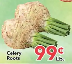 Eurofresh Market Celery Roots offer