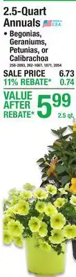 Menards 2.5-Quart Annuals offer