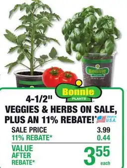 Menards BONNIE PLANTS 4-1/2 VEGGIES & HERBS offer