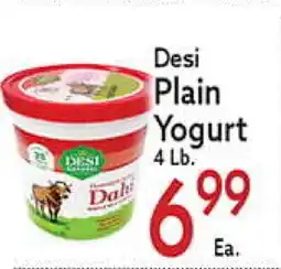 World Fresh Market Desi Plain Yogurt offer