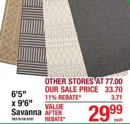 Menards 6'5 x 9'6 Savanna INDOOR/OUTDOOR RUGS offer