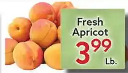 World Fresh Market Fresh Apricot offer