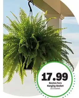 Meijer Boston Fern Hanging Basket offer