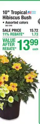 Menards 10 Tropical Hibiscus Bush offer