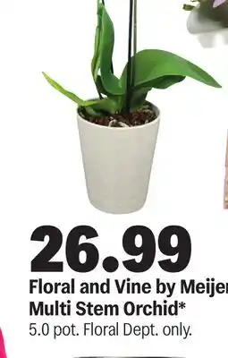 Meijer Floral and Vine by Meijer Multi Stem Orchid offer
