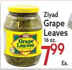 World Fresh Market Ziyad Grape Leaves offer