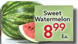 World Fresh Market Sweet Watermelon offer