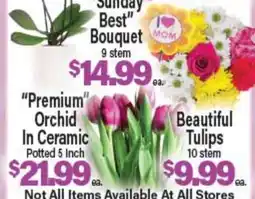 Angelo Caputo's Fresh Market Sunday Best Bouquet 9 stem, Premium Orchid In Ceramic Potted 5 Inch, Beautiful Tulips 10 stem offer