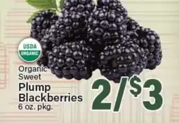 Angelo Caputo's Fresh Market Organic Sweet Plump Blackberries offer