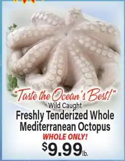 Angelo Caputo's Fresh Market Wild Caught Freshly Tenderized Whole Mediterranean Octopus offer