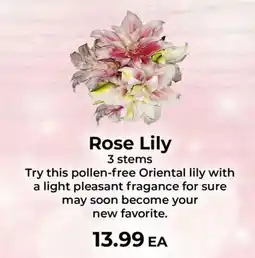 Sunset Foods Rose Lily offer