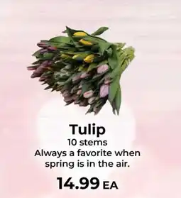 Sunset Foods Tulip offer