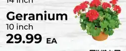 Sunset Foods Geranium offer