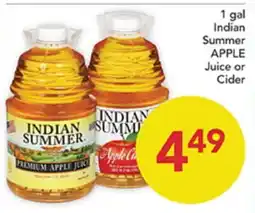 Pete's Fresh Market 1 gal Indian Summer APPLE Juice or Cider offer