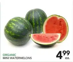 Pete's Fresh Market ORGANIC MINI WATERMELONS offer
