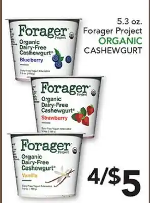 Pete's Fresh Market Forager Project ORGANIC CASHEWGURT offer