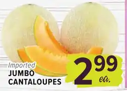 Cermak Fresh Market JUMBO CANTALOUPES offer